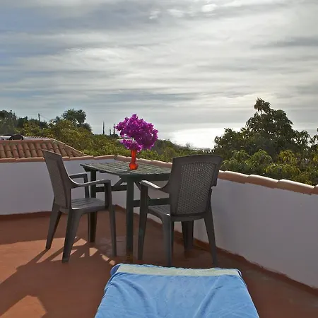 Casa Avocado *