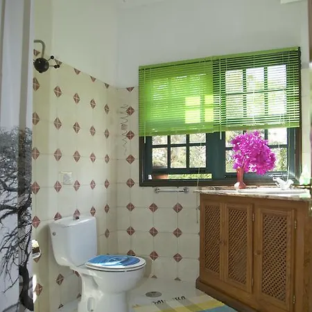Casa Avocado Ferienhaus *