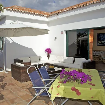 Casa Avocado