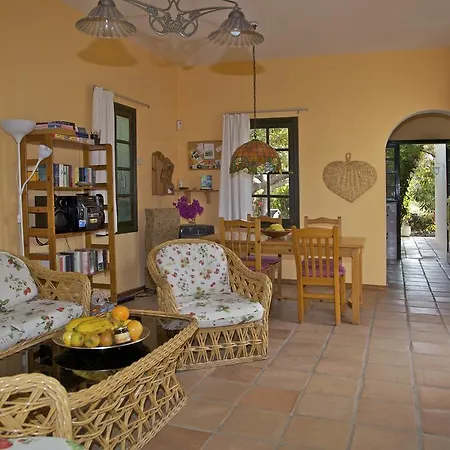 Casa Avocado